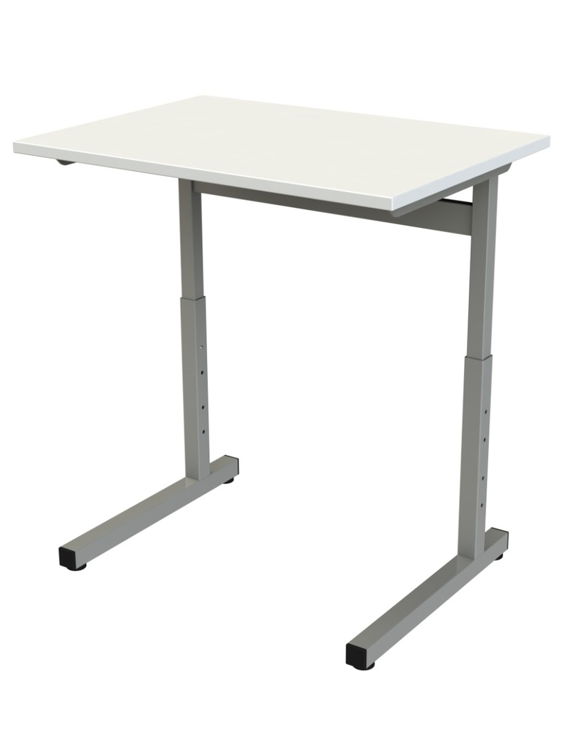 camea-reglable70x50-blancgris.jpg