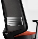 dot-pro_flex-lumbar_black.jpg