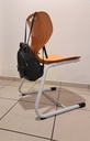 siamcl_sac_2.jpg