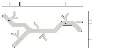 specsWeb_Tree-hooked-1-2048x801.webp