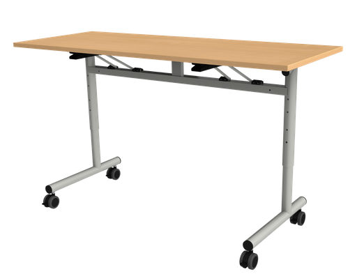 FT12 ENSEIGNEMENT  130 X 50 REGLABLE